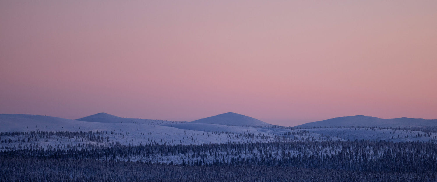 Halti ist Premium Partner am Mundologia Festival 2023