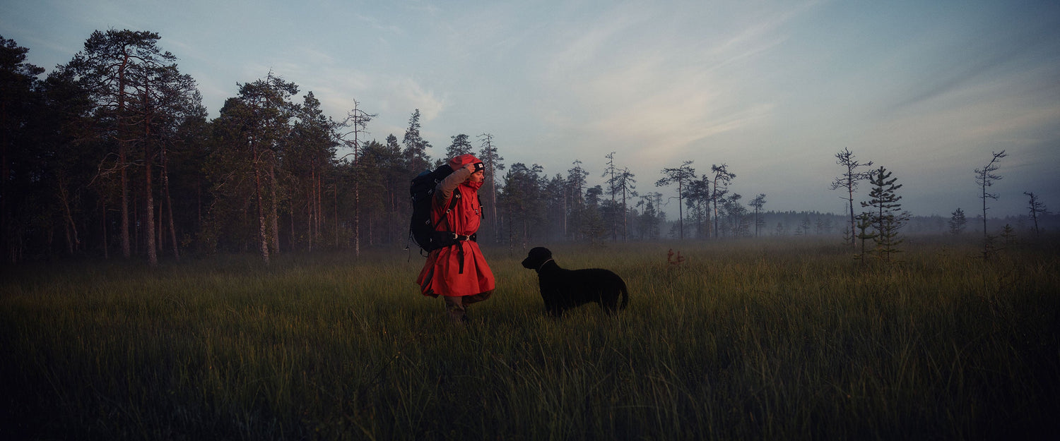 Die Geschichte von Harri