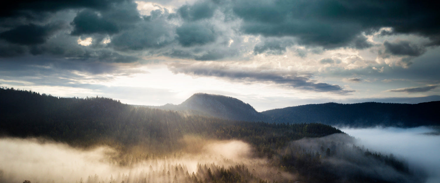 Die CO₂-Emissionen des Halti-Hauptsitzes wurden halbiert