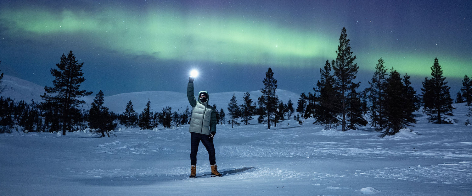 Halti erneut als WWF Green Office zertifiziert