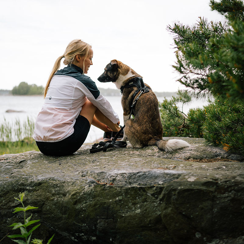Eine Frau in einer Halti Urbanite Damen-Trainingsjacke sitzt auf einem Felsen am Wasser und blickt auf ihren Hund im üppigen Grün.