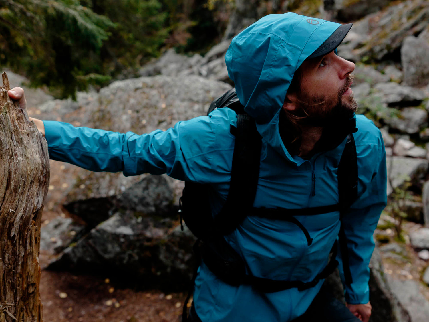 Eine bärtige Person in einer blauen Kapuzenjacke hält einen Baumstamm und blickt auf einem felsigen Waldweg nach oben.