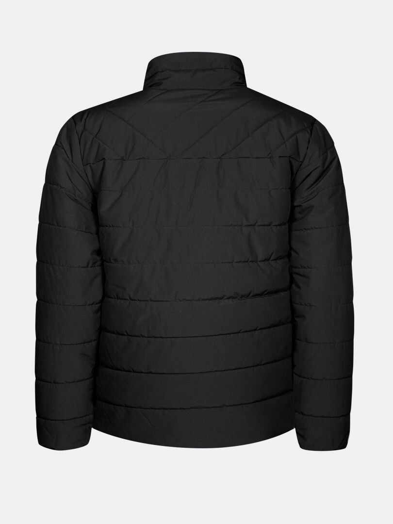 Die Halti Haapa Steppjacke Herren in schwarz mit Microtherm Arcty-Isolierung, dargestellt von hinten auf grauem Grund.