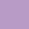 I82 Crocus Petal